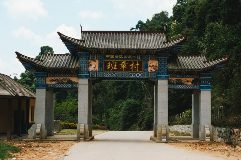 Chinese tea room in SG : Founder sharing stories behind limited-harvest teas