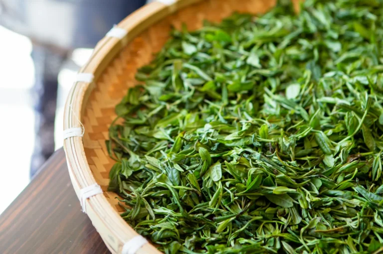 A bamboo tray filled with fresh green tea leaves is set on a wooden table. The vibrant leaves convey a sense of freshness and natural abundance.