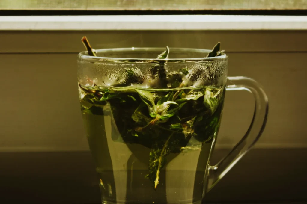 Clear glass mug filled with steaming green tea, fresh mint leaves floating on top, placed on a windowsill with soft natural light. Refreshing and calming.