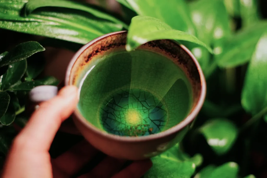 A hand holds a ceramic mug with a cracked glaze, revealing teal and yellow patterns inside. Bright green leaves in the background create a lush, natural setting.