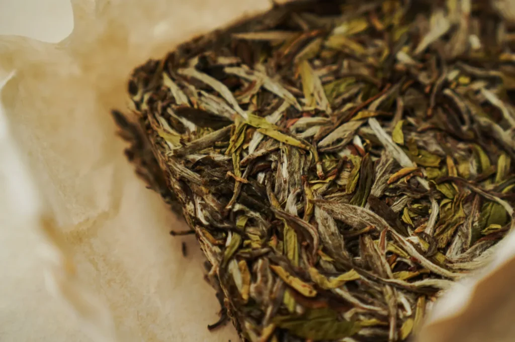 Close-up of a compressed tea cake with tightly packed, dried tea leaves in green and brown hues on crinkled white parchment paper.