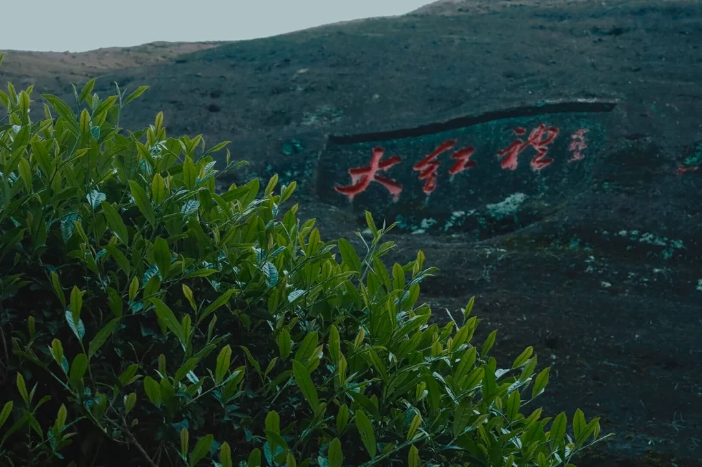 A lush green bush is in the foreground, with Chinese characters etched in red on a stone background. The scene conveys serenity and natural beauty.