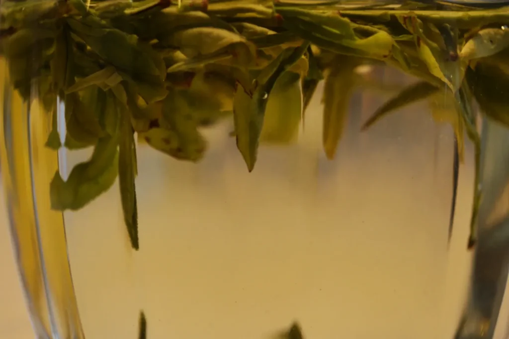 Close-up of green leaves floating in a clear glass filled with water. The image has a calm, serene tone with subtle reflections in the liquid.