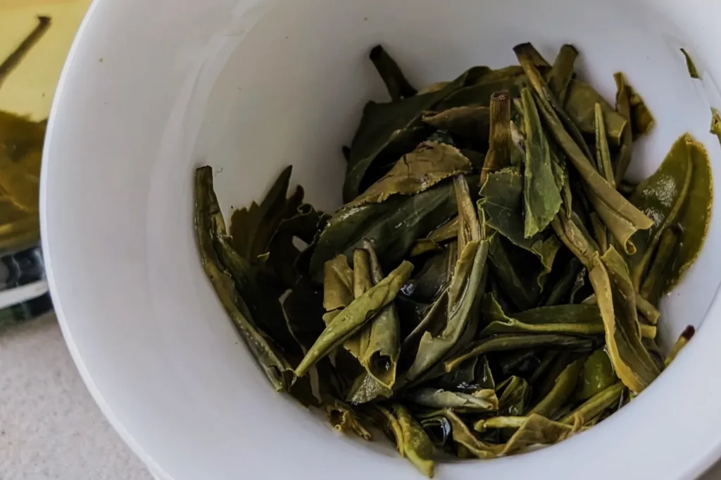 A close-up of wet green tea leaves in a white bowl. The leaves are richly green and appear freshly steeped, evoking a calm and natural feel.