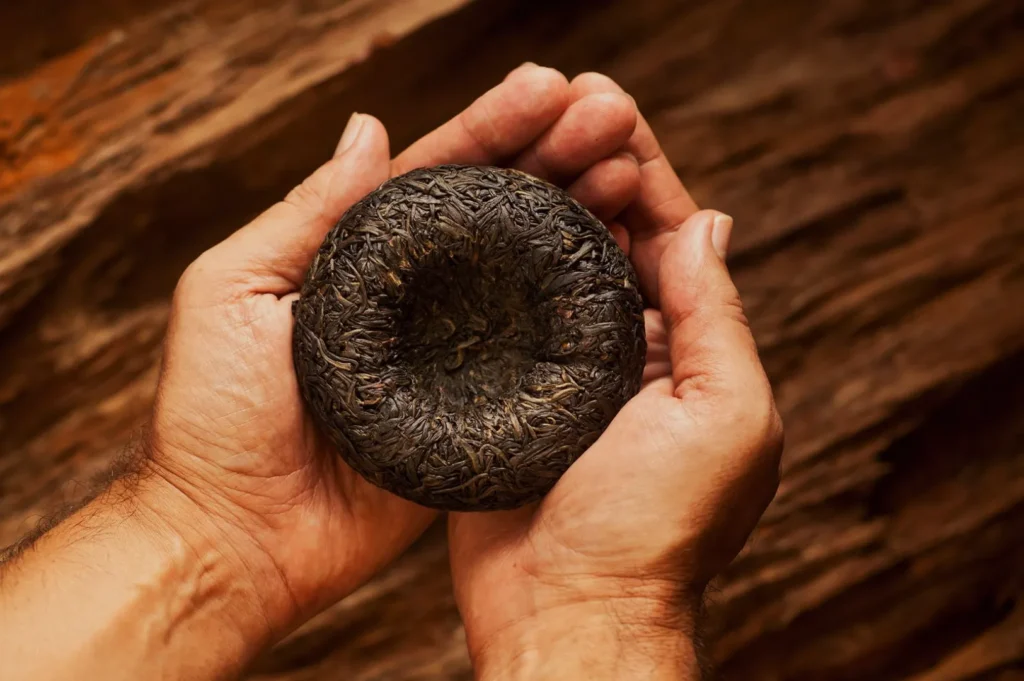 Hands gently holding a pressed tea cake against a warm, wooden background. The tea cake is round and dark, resembling a dense, textured disc.