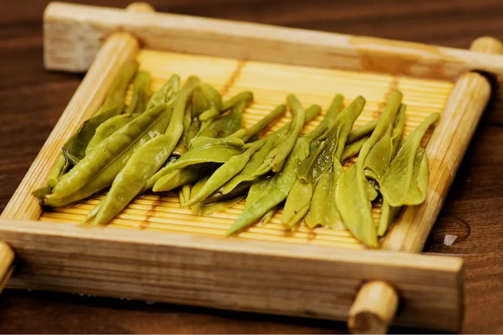 Green tea leaves neatly arranged on a bamboo tray, set on a wooden table. The leaves are wet, glistening under the light, evoking freshness.