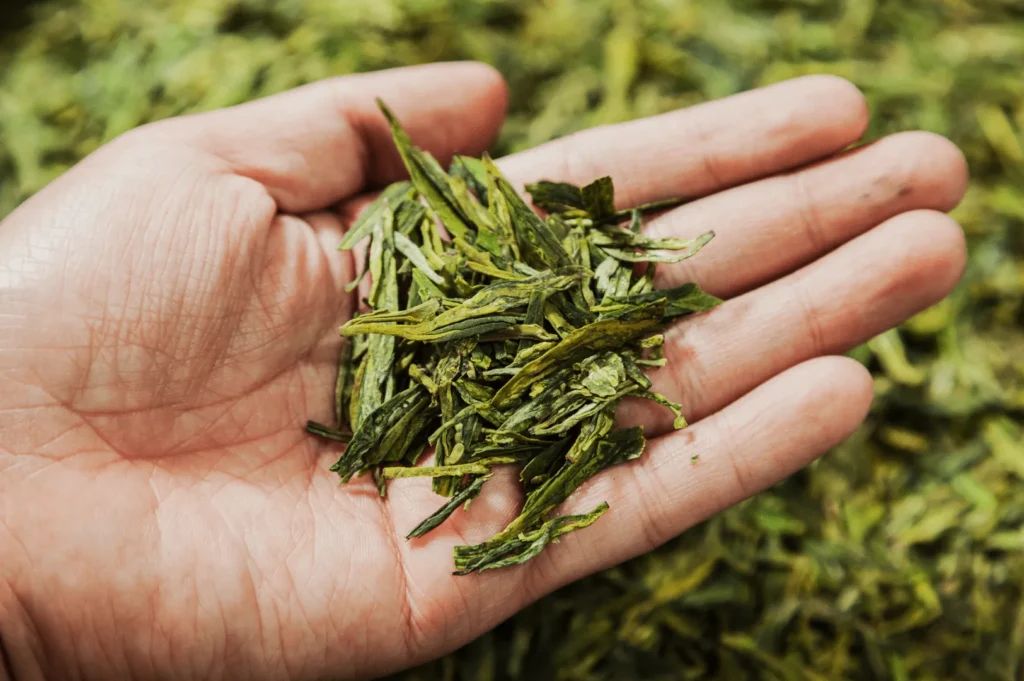 A hand holds a small mound of dried, green tea leaves with pointed tips. The backdrop is a blurred mix of additional leaves, conveying a fresh, natural tone.
