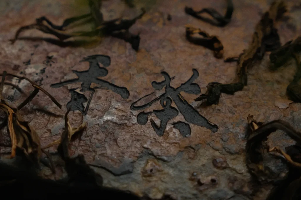 Close-up of Chinese characters etched into a textured, weathered stone surface, surrounded by dry, curled leaves, creating an ancient, mysterious feel.