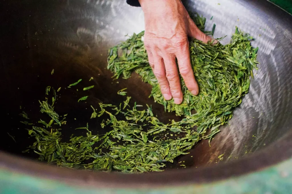 A hand mixing or sifting through green tea leaves in a large metal bowl.