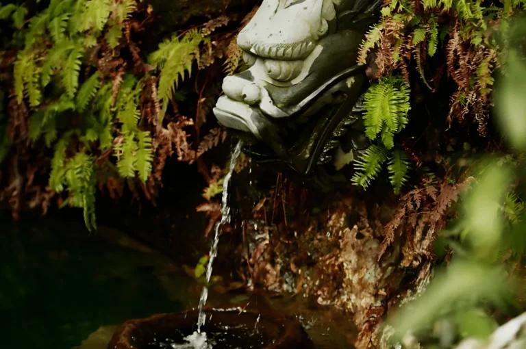 A stone fountain in the shape of a dragon’shead, with water flowing from its mouth, surrounded by lush green ferns and foliage.