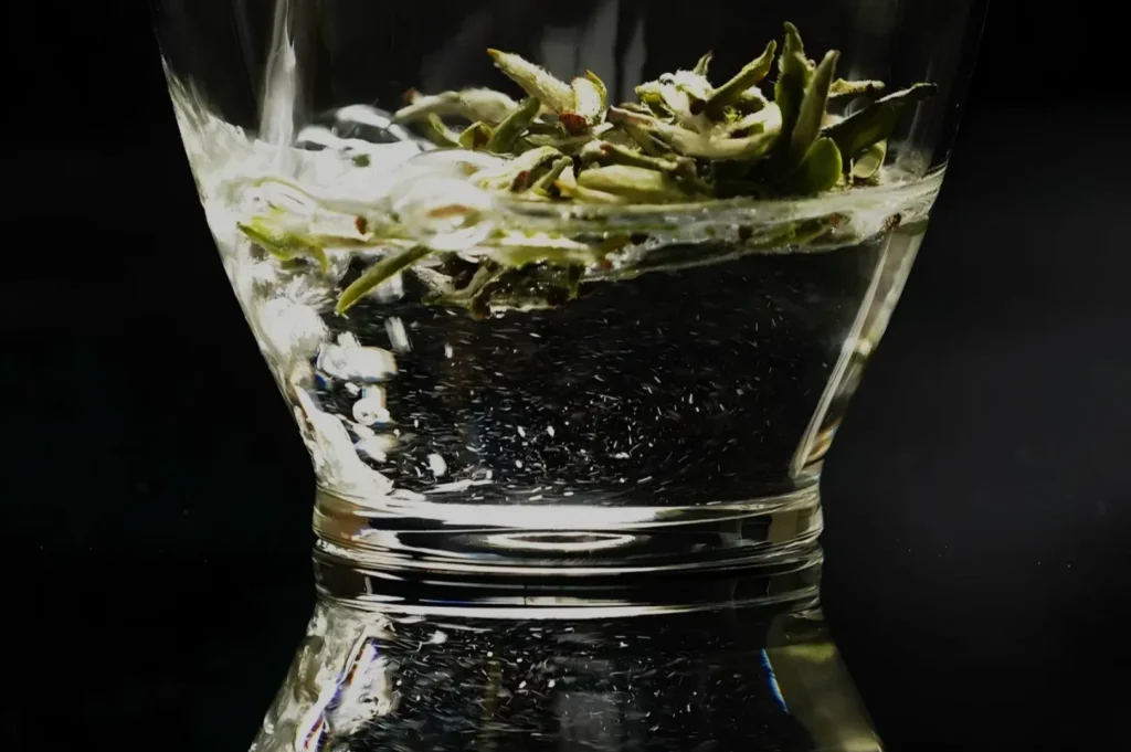 A glass of water with submerged green plant material creating bubbles and reflections.