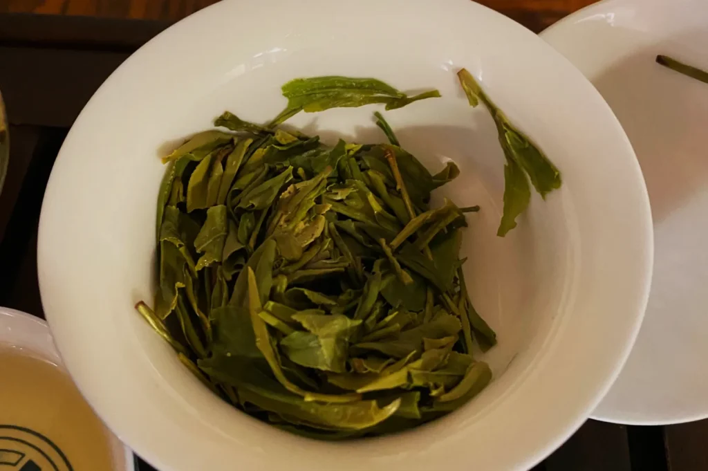 Bowl of freshly harvested green tea leaves.
