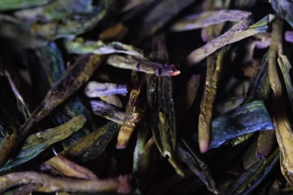 Close-up of dried green tea leaves with a mix of dark and light green colors, showing their elongated shapes and textures.