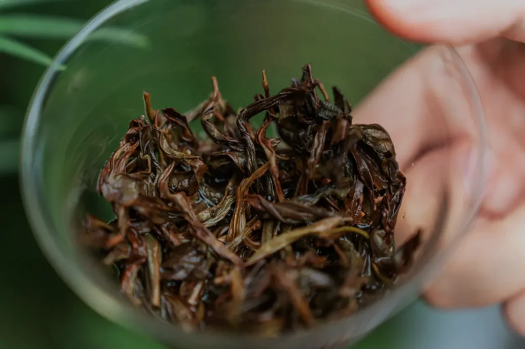 A close-up image of a hand holding a glass bowl filled with dried tea leaves.
