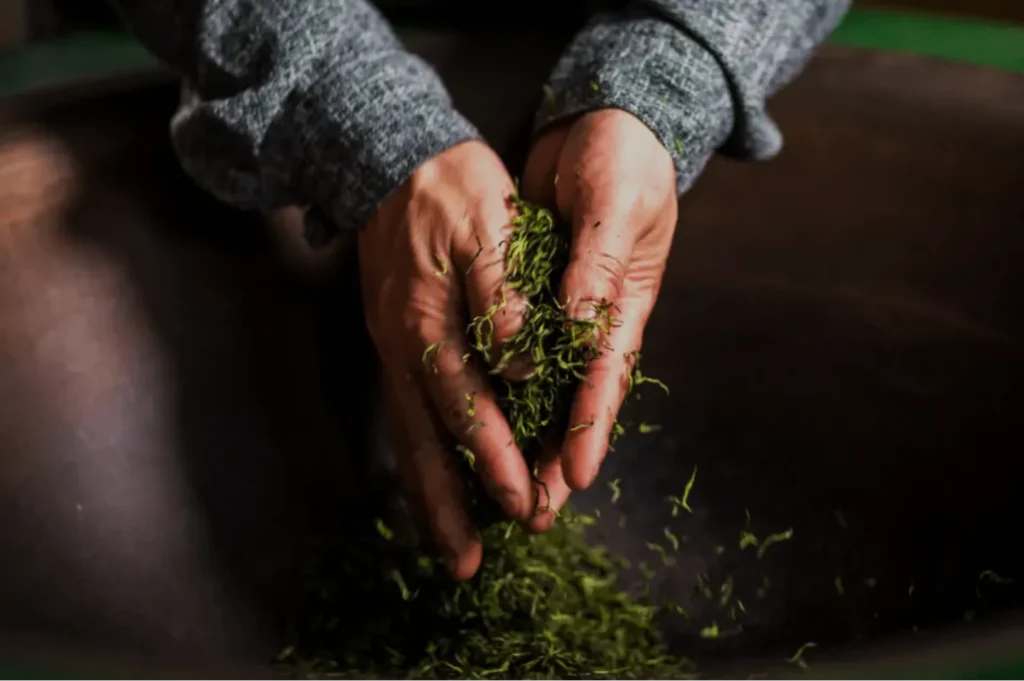 A person’s hands holding green plant material over a bowl, with additional plant material falling into it.