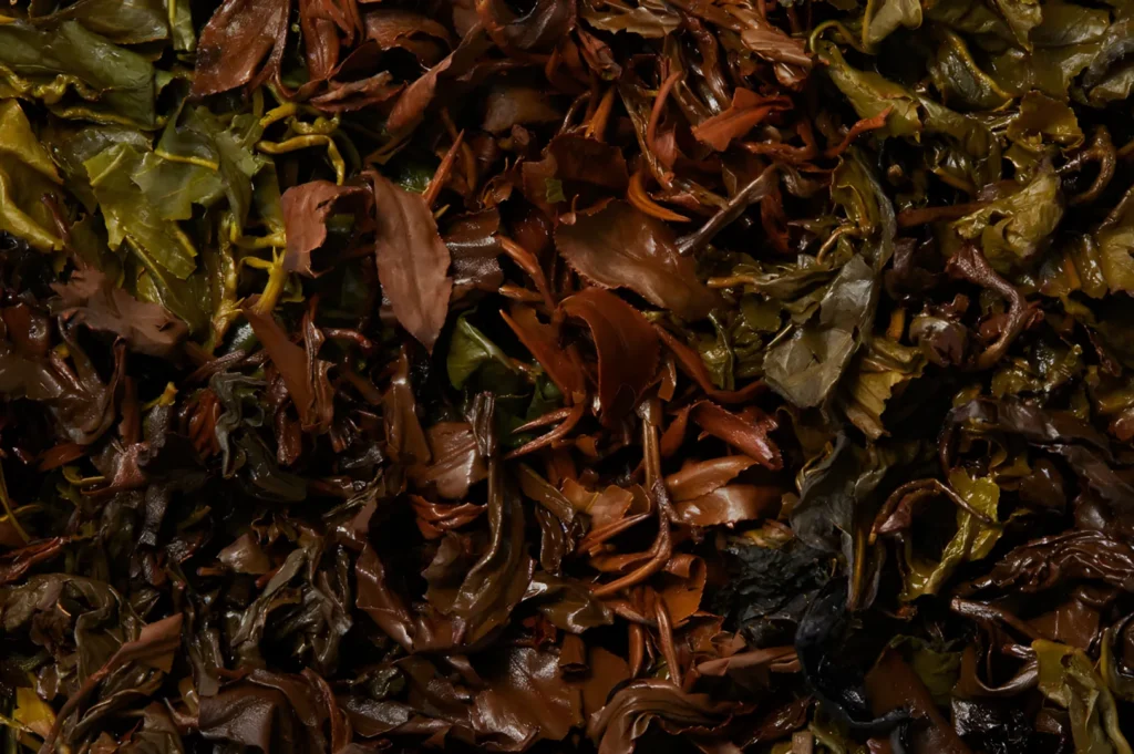 A close-up view of various types of seaweed in different shades of green and brown.