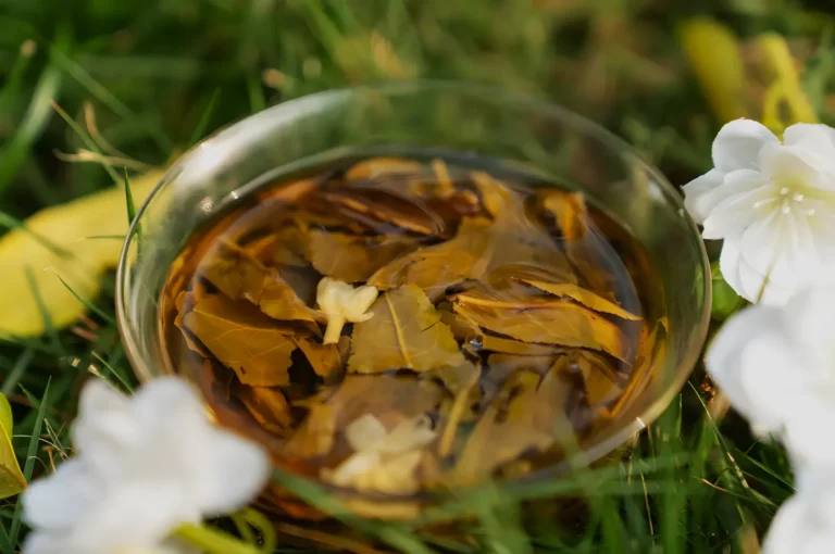A glass bowl of amber herbal tea with floating dried leaves sits in lush green grass, framed by white flowers, creating a calm, natural mood.