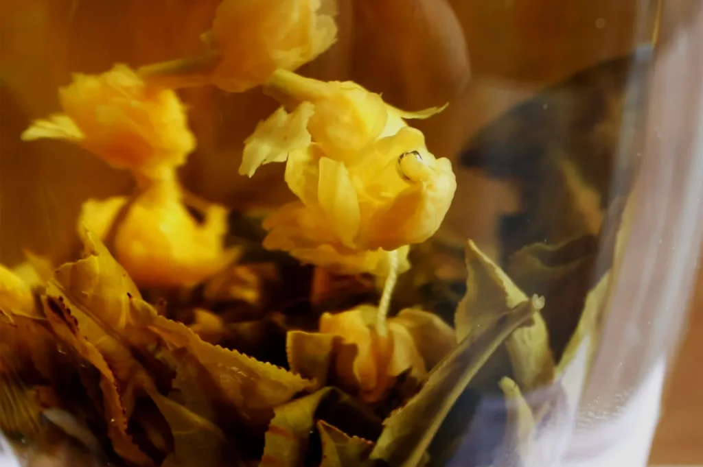 Close-up of golden-yellow blossoms and curled leaves inside a glass vessel, glowing in warm amber light and creating a soft, dreamy mood.