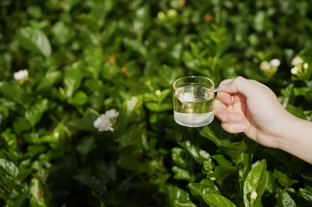 A hand holds a small glass cup of clear tea above lush green leaves and tiny white flowers, creating a fresh, peaceful garden scene.